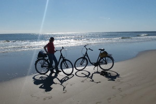 NORDSEE Inselhüpfen im Westfriesischen Wattenmeer