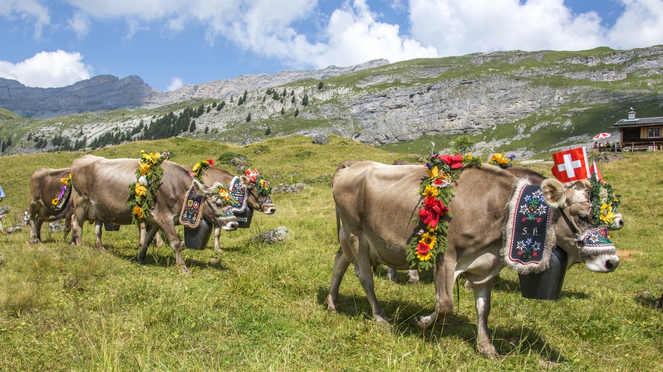 Berner Oberland