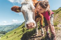 Kühe Mädchen Frau Ostschweiz Berner Oberland